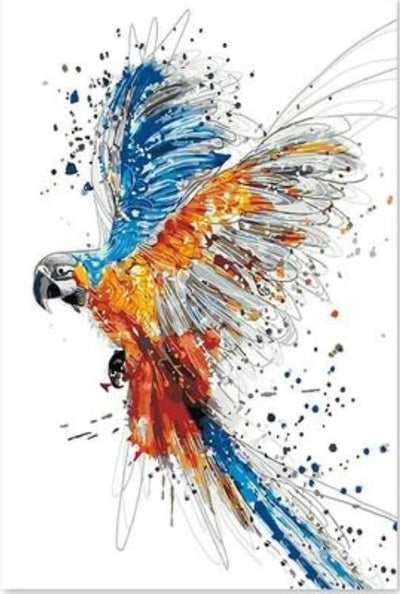Oiseau Kits De Peinture Par Numéros BN92709