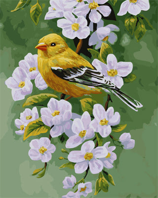 Oiseau Peintures par Numéro GX21580