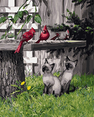 Oiseau Peintures par Numéro GX22845