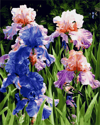 Fleur Peintures par Numéro GX24699