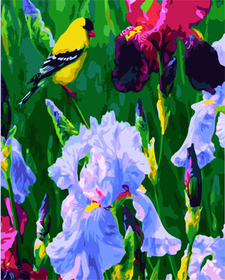 Fleur Peintures par Numéro GX24705