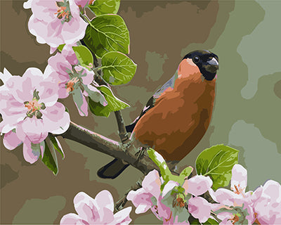 Oiseau Peintures par Numéro GX24795