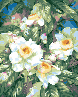 Fleur Peintures par Numéro GX24804