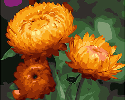 Fleur Peintures par Numéro GX24807