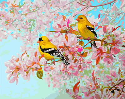Oiseau Peintures par Numéro GX25293