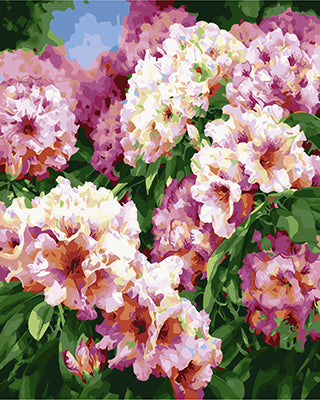 Fleur Peintures par Numéro GX25469