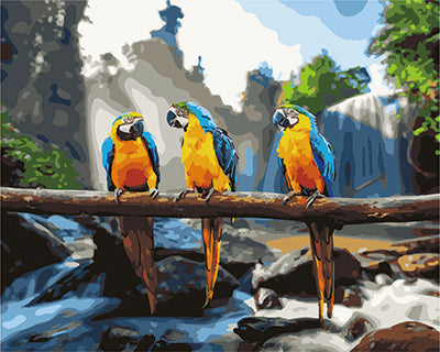 Oiseau Peintures par Numéro GX25500