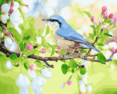 Oiseau Peintures par Numéro GX27629