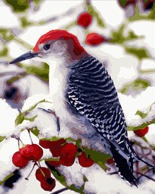 Oiseau Peintures par Numéro GX28082