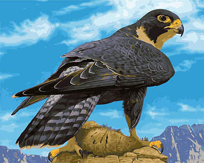 Oiseau Peintures par Numéro GX28285