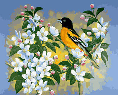 Oiseau Peintures par Numéro GX28363