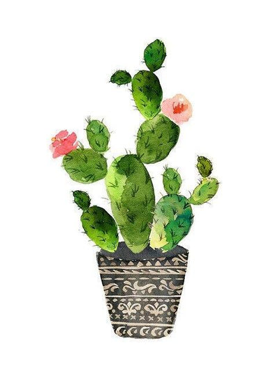 Fleur Cactus Kits De Peinture Par Numéros Pour Débutants  HQD1214