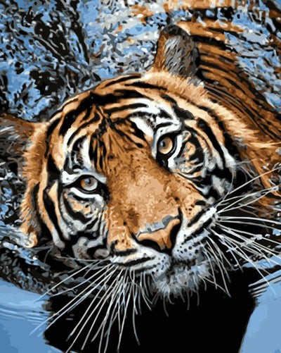 Animaux Tigre Kits De Peinture Par Numéros Pour Adulte HQD1240