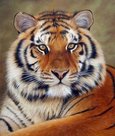 Animaux Tigre Kits De Peinture Par Numéros Pour Adulte HQD1268