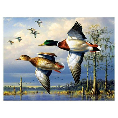 Oiseau Peintures par Numéro OTP3520