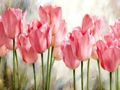 Fleur Tulip Kits De Peinture Par Numéros Pour Adulte PH9648
