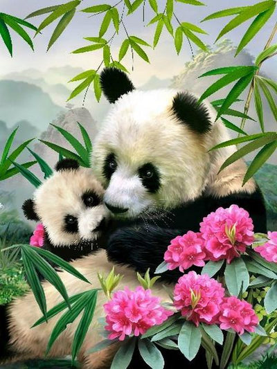Animaux Panda Kits De Peinture Par Numéros Pour Adulte RA3123