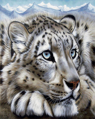 Animaux Tigre Kits De Peinture Par Numéros Pour Adulte RA3498