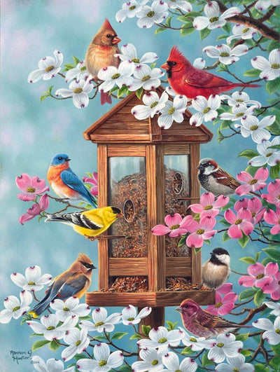 Fleur Et Oiseau Kits De Peinture Par Numéros Pour Adulte RSB8348
