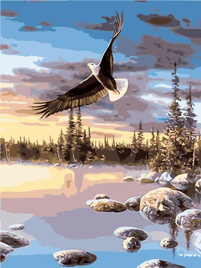 Oiseau Peinture Par Numéros TCR3067