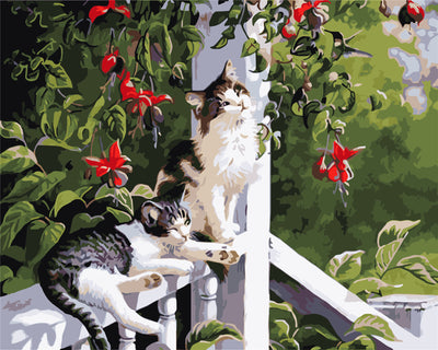 Chien & Chat Peinture par Numéros WH-1286