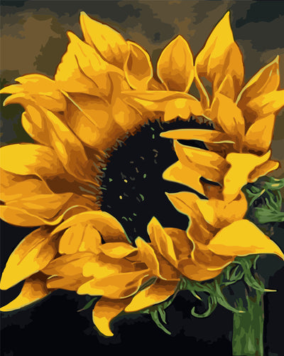 Fleur Peinture par Numéros WH-80676