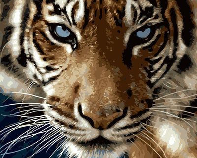 Animaux Tigre Kits De Peinture Par Numéros Pour Adulte HQD1385