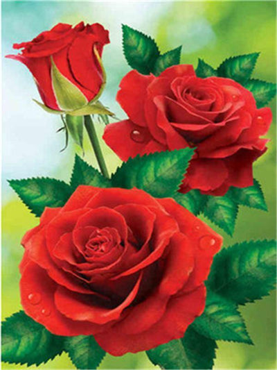 Fleur Rose Kits De Peinture Par Numéros Pour Adulte Y5434