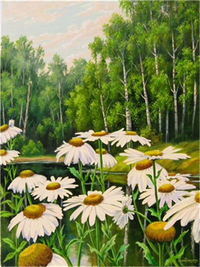 Fleur Marguerite Kits De Peinture Par Numéros Pour Adulte Y5496
