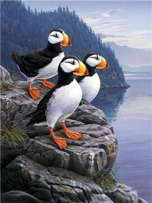Animaux Penguin Kits De Peinture Par Numéros Pour Adulte Y5657