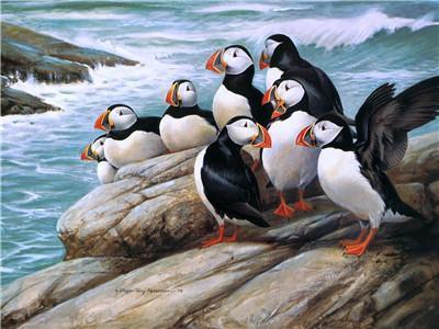 Animaux Penguin Kits De Peinture Par Numéros Pour Adulte Y5658