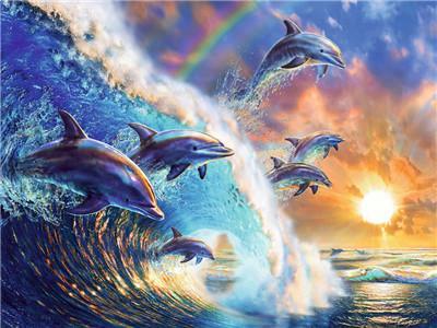 Animaux Dolphin Kits De Peinture Par Numéros Pour Adulte Y5743