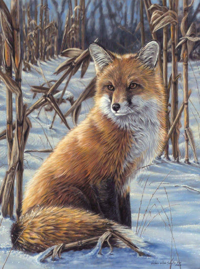 Animaux Renard Kits De Peinture Par Numéros Pour Adulte HQD1372